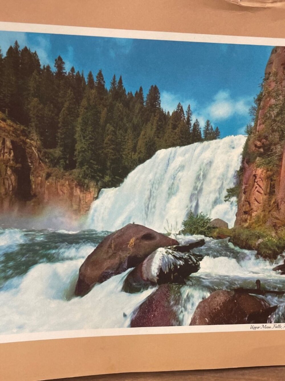 Upper Mesa Falls & Ponderosa Pine Vintage Prints By Standard Oil Co. Of Californ